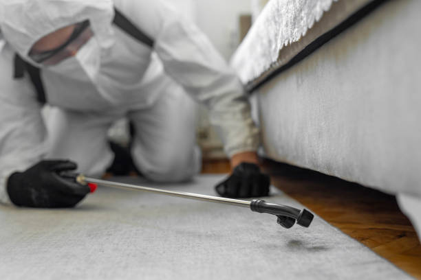 Professional Bed Bug Control technician working in North Richmond, CA