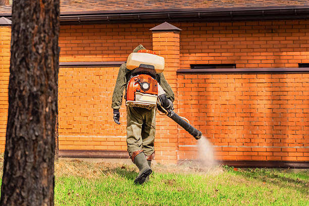 Trusted Termite Control service in North Richmond, CA - Nex Pest Control